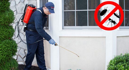 Beykoz Akrep İlaçlama böcek ilaçlama ve haşere kontrolü — ilaclama-tr.com